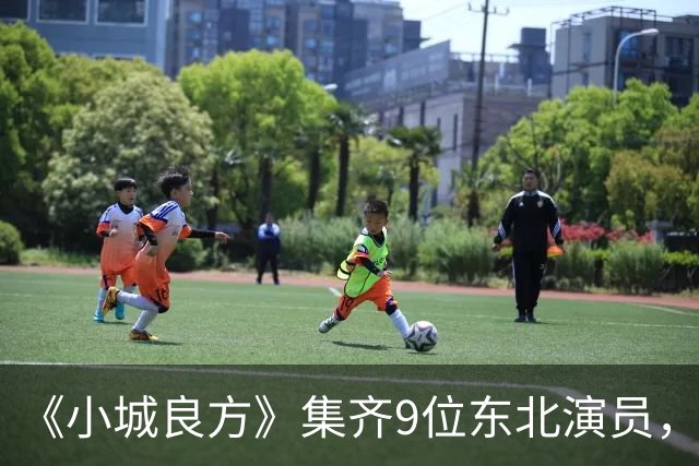 《小城良方》集齐9位东北演员，肖战但凡拉胯点都压不住王炸配角