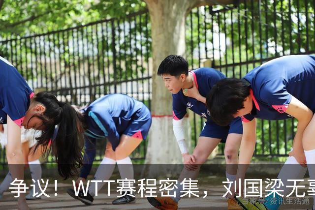 争议！WTT赛程密集，刘国梁无辜躺枪，樊振东退出的含金量在上升