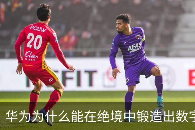 华为为什么能在绝境中锻造出数字主权
