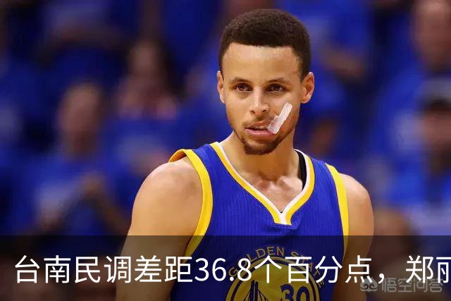 台南民调差距36.8个百分点，郑丽文的翻盘希望在高雄？
