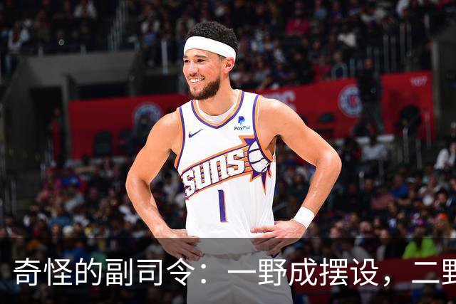 奇怪的副司令：一野成摆设，二野四野干脆没有，三野相当于司令