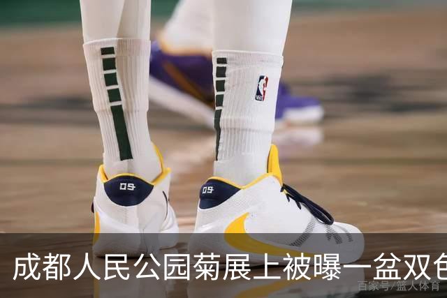 成都人民公园菊展上被曝一盆双色菊花丢失