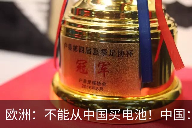 欧洲：不能从中国买电池！中国：收到，那我把整个电池厂搬过来！