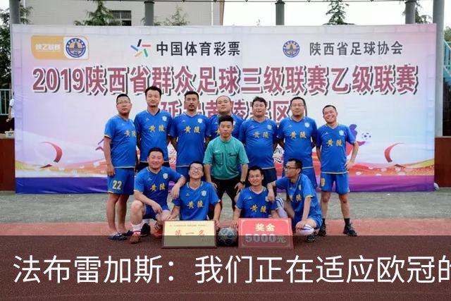 法布雷加斯：我们正在适应欧冠的节奏，这并不容易