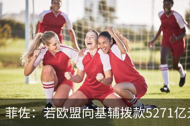 菲佐：若欧盟向基辅拨款5271亿元，斯洛伐克和匈牙利将不会加入